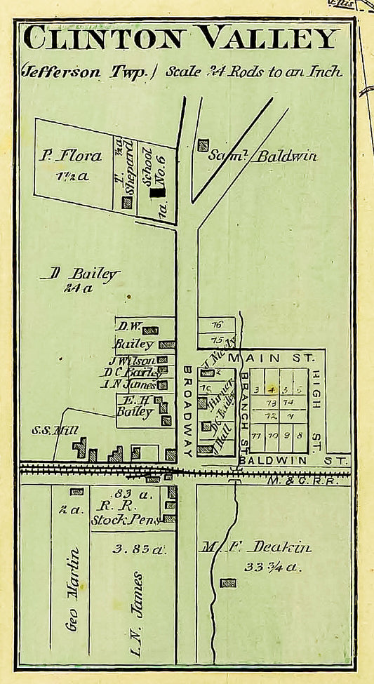 1876. Map of Clinton Valley.
