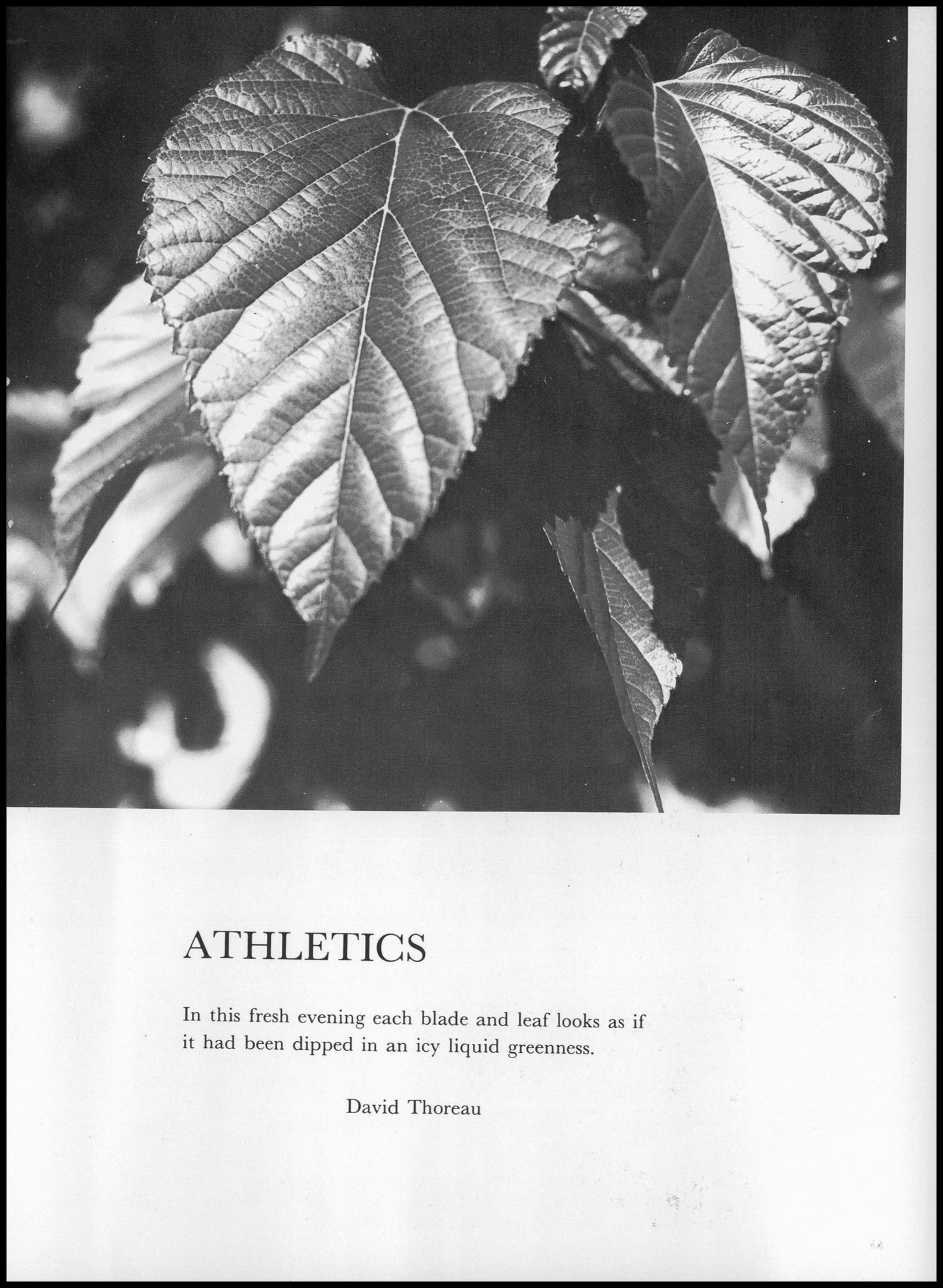 1973. Blanchester High School Yearbook.