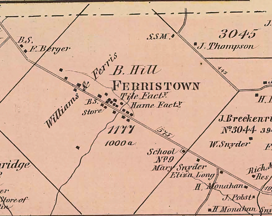 Ferristown Map.