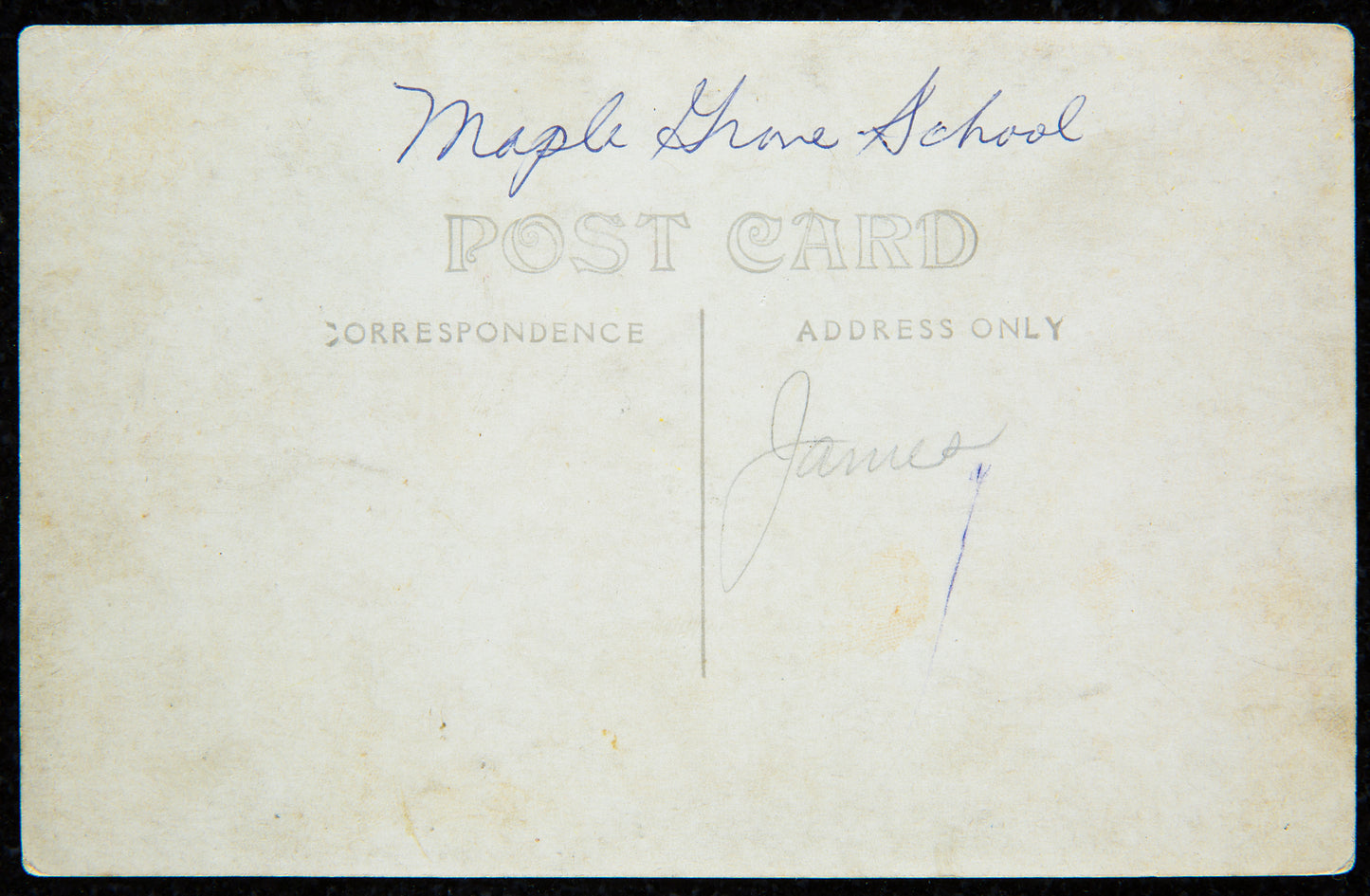 1917. Maple Grove School Students Postcard.